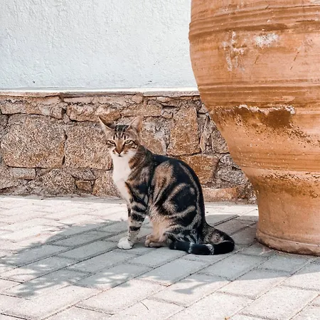 מלון דירות Konstantin &