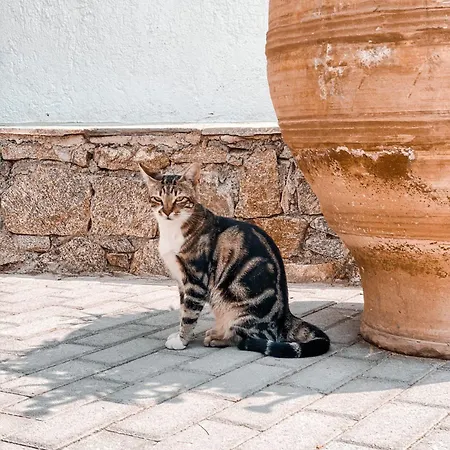 Konstantin Appart hôtel Mykonos Town