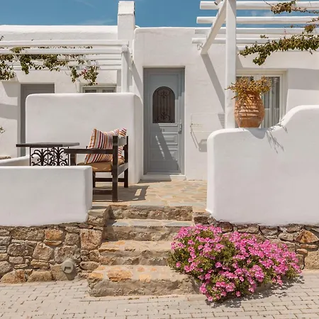 康斯坦丁之家酒店 4* Mykonos Town
