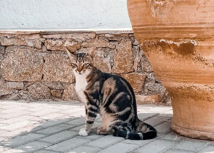 Апарт-отель Konstantin &